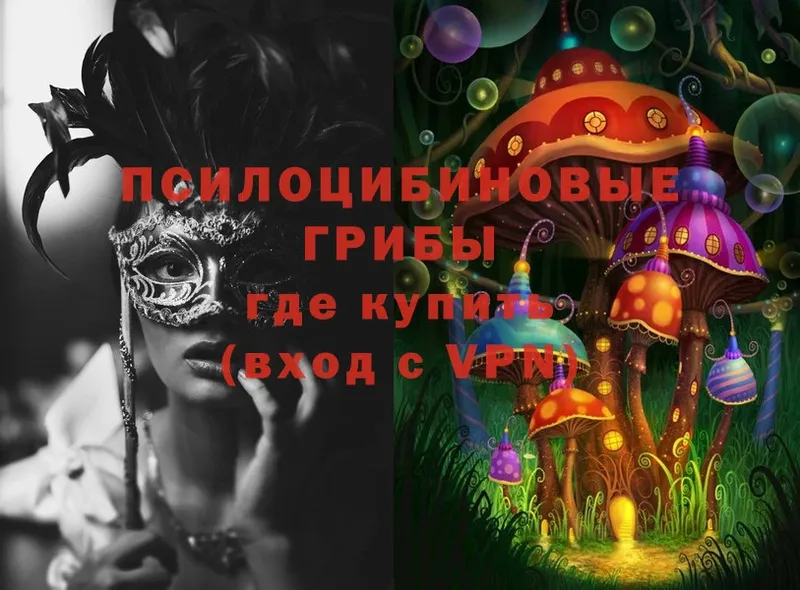 Галлюциногенные грибы Psilocybe  Кумертау 